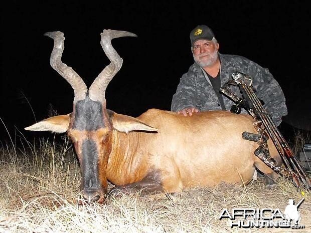 Bowhunting Hartebeest South Africa