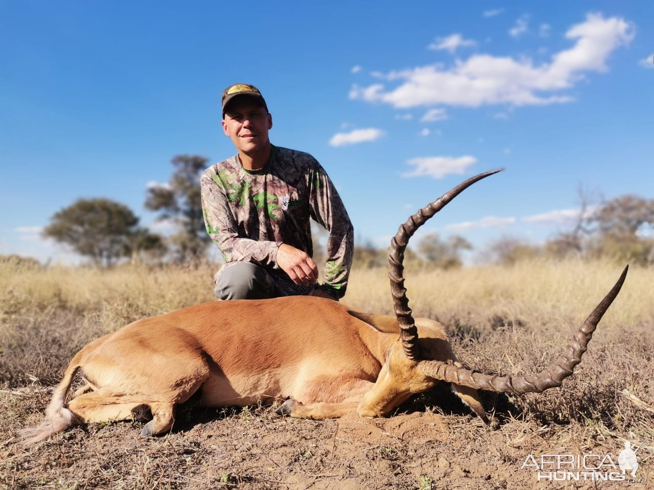 Bowhunting Impala