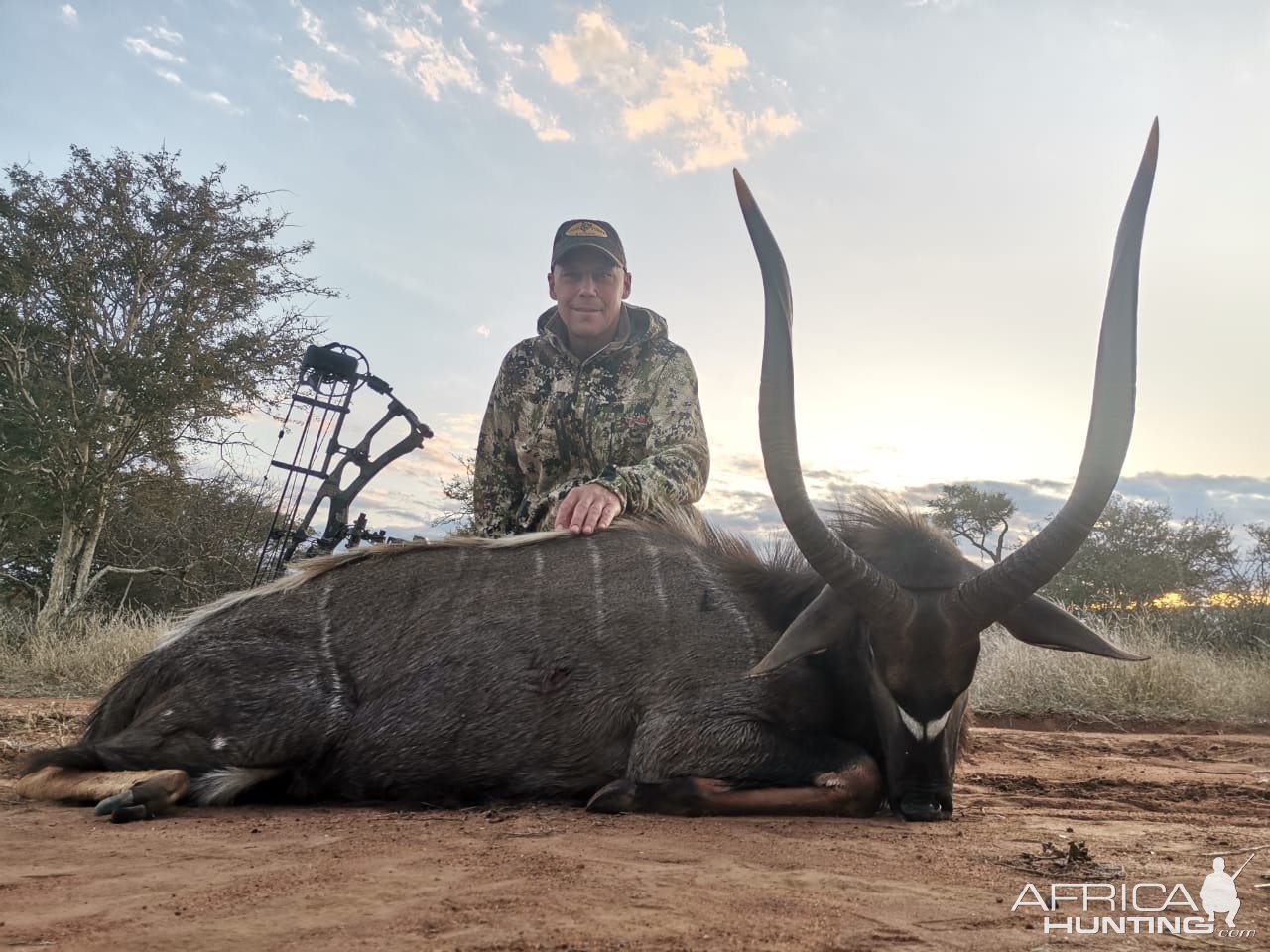 Bowhunting Nyala