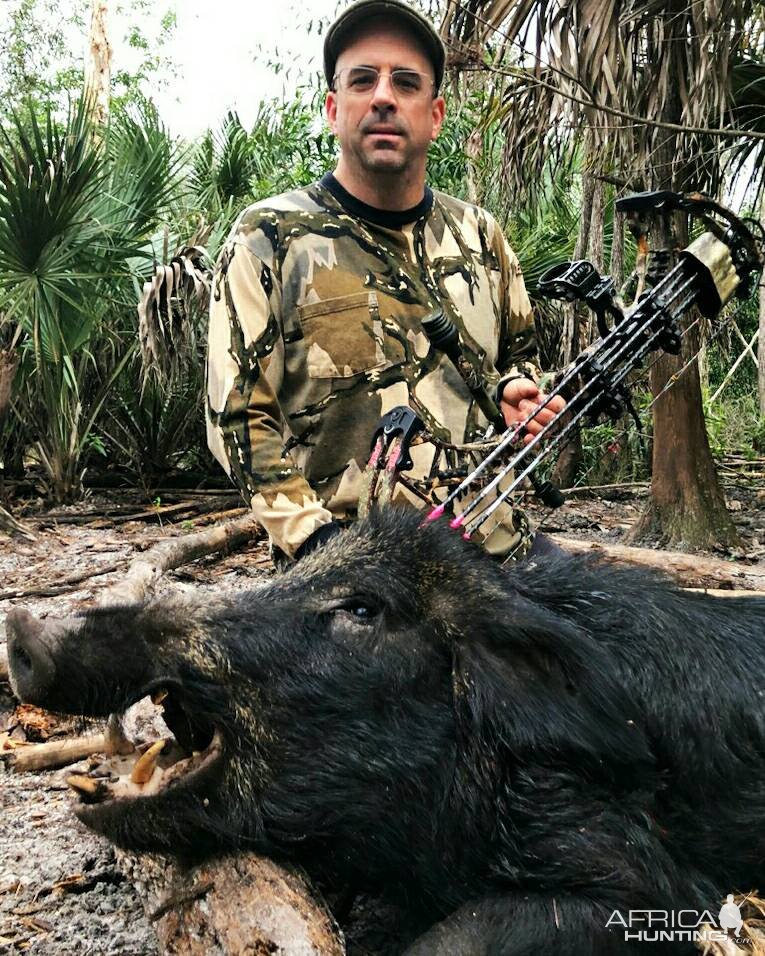 Bowhunting Pig Florida