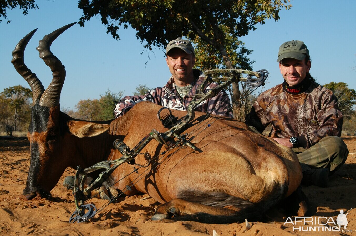 Bowhunting Red Hartebeest with Wintershoek Johnny Vivier Safaris in South A