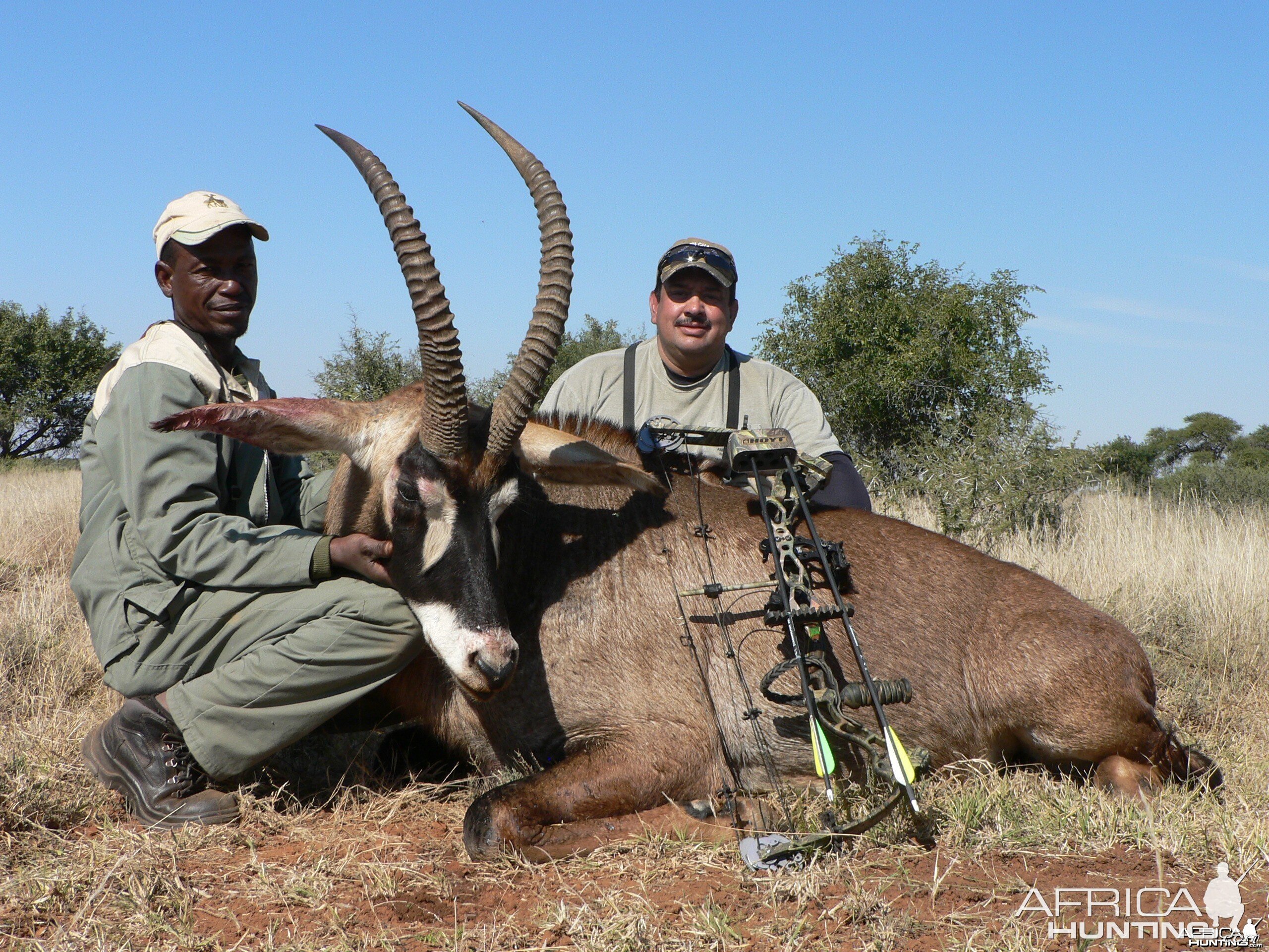 Bowhunting Roan with Wintershoek Johnny Vivier Safaris in SA