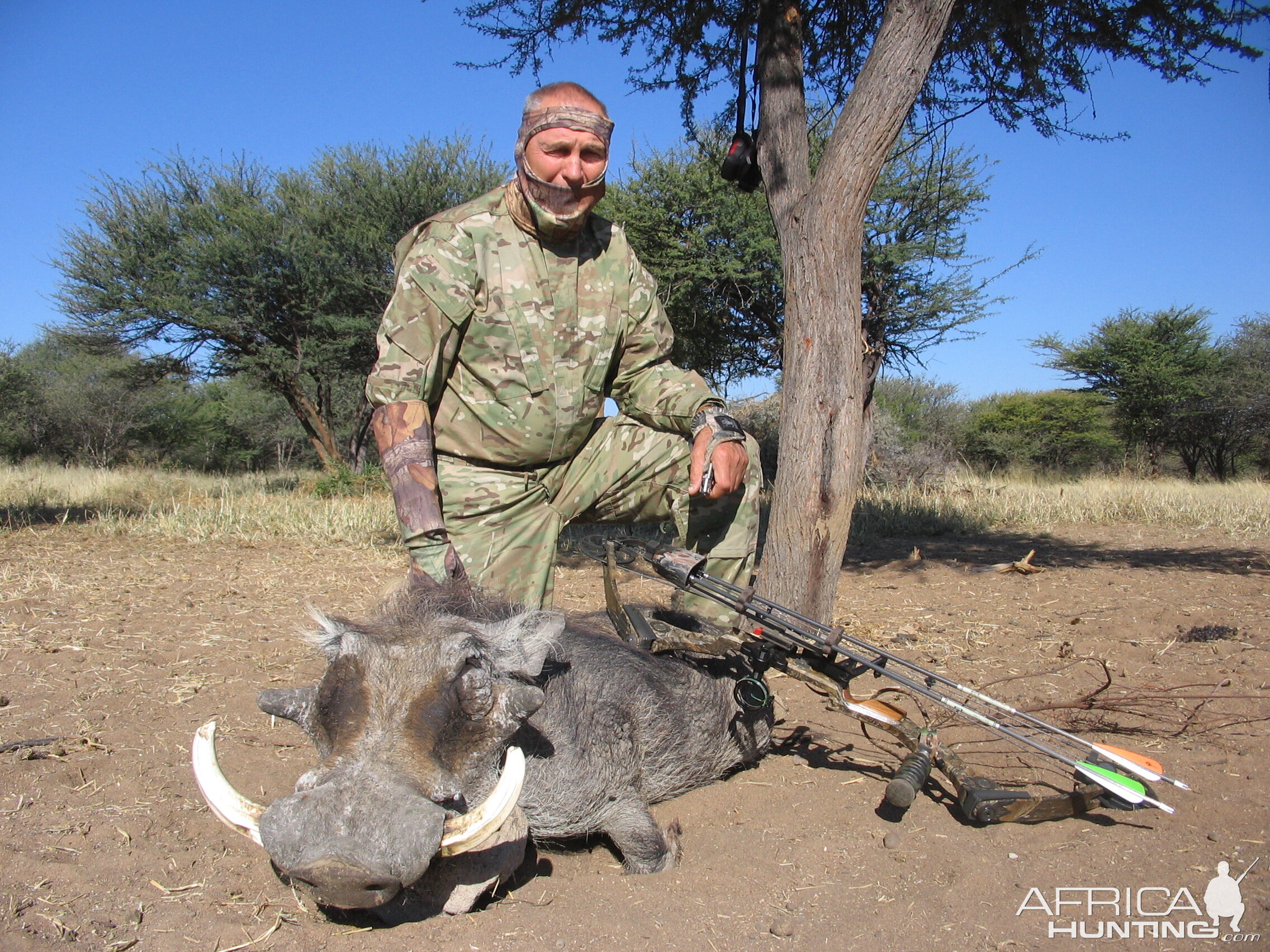 Bowhunting Warthog in Namibia