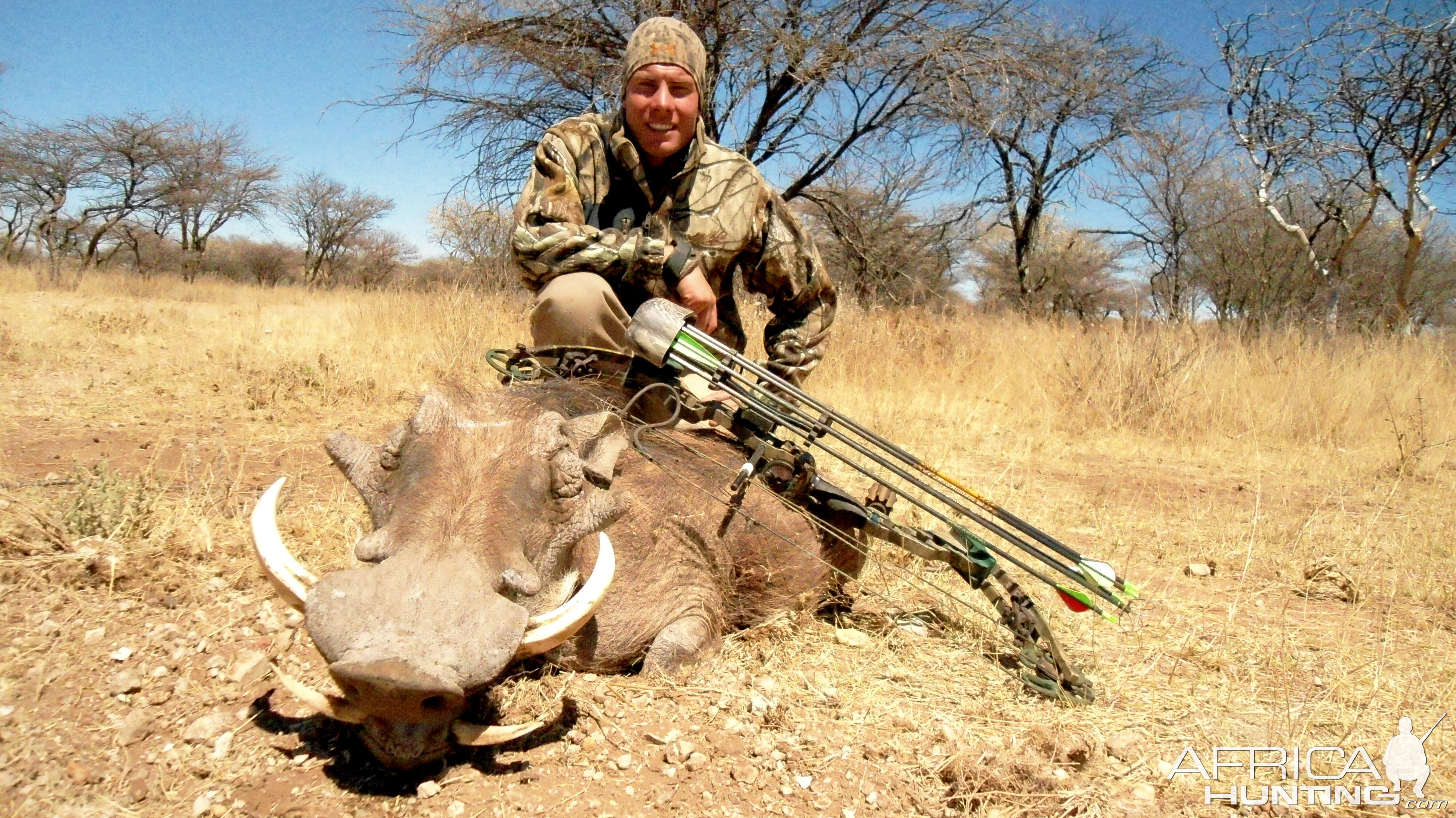 Bowhunting Warthog in Namibia