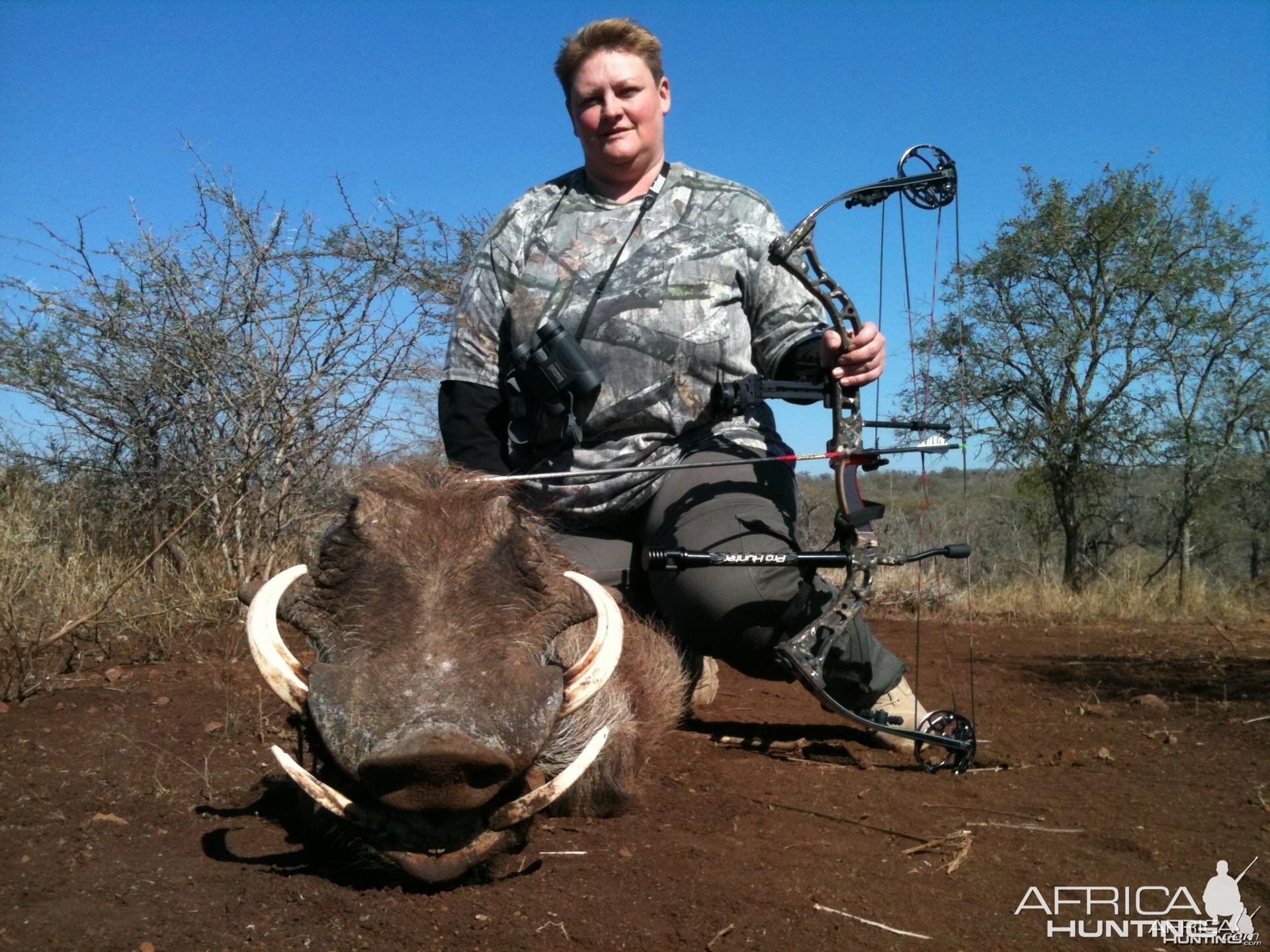 Bowhunting Warthog South Africa