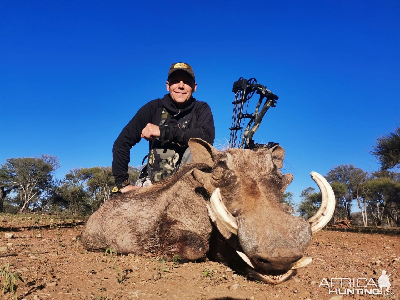 Bowhunting Warthog