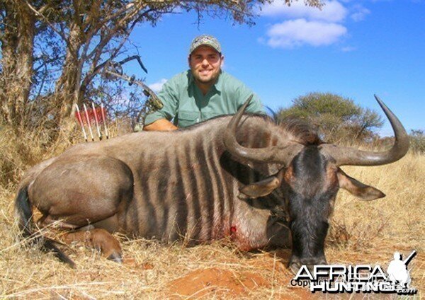 Bowhunting Wildebeest