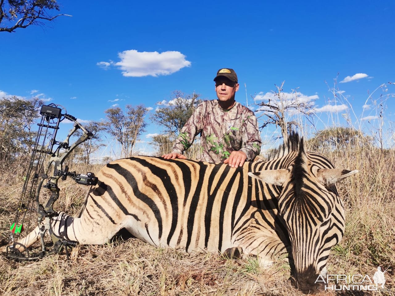 Bowhunting Zebra