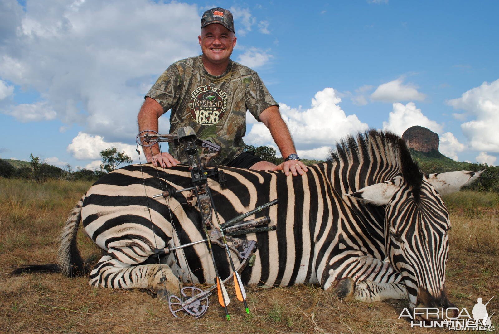 Bowhunting Zebra