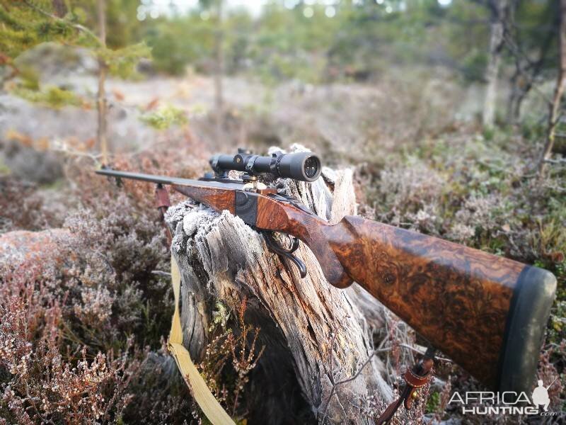 Bradshaw Falling block Double Rifle in .375 Flanged