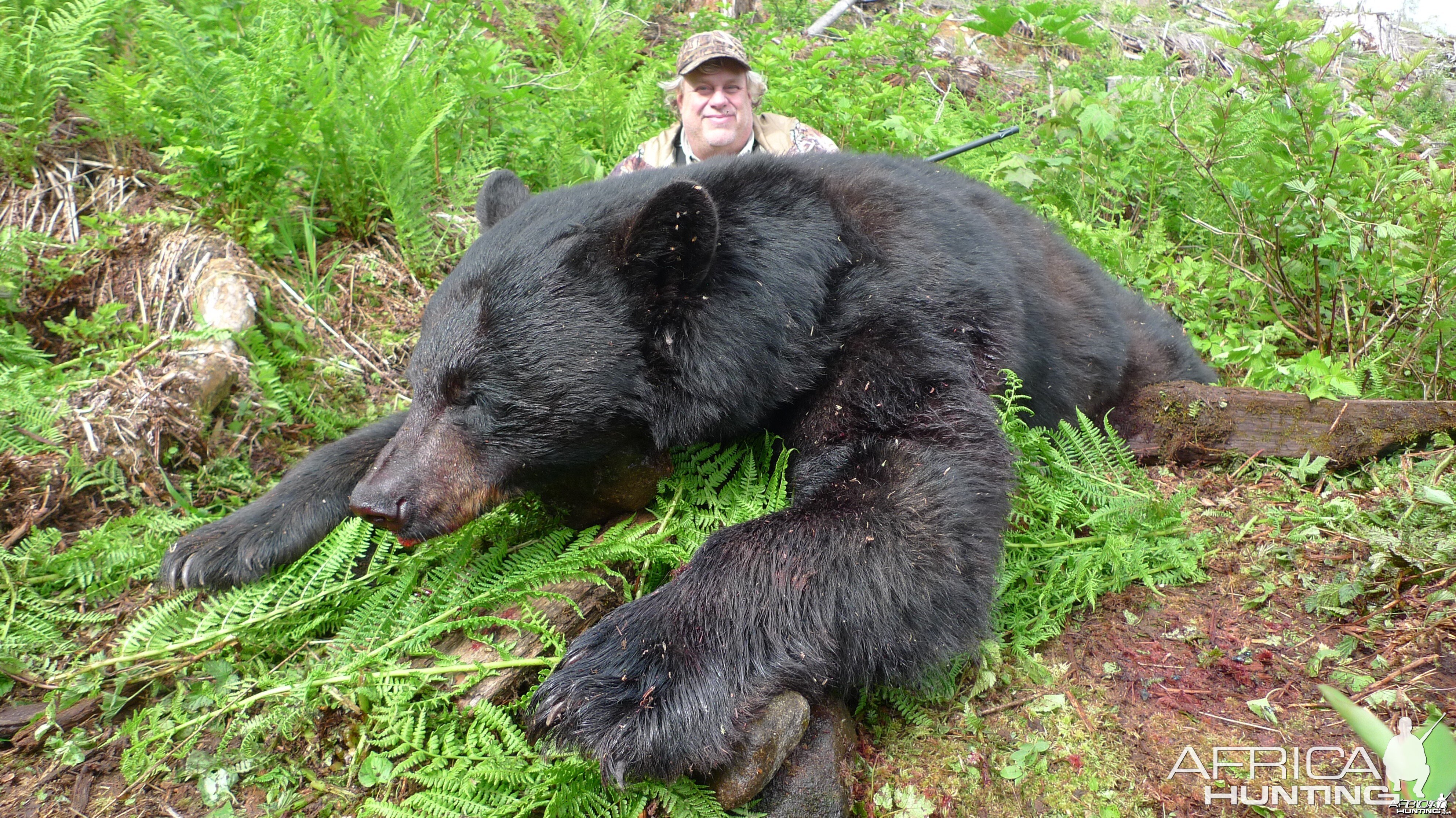 British Columbia Black Bear Hunt