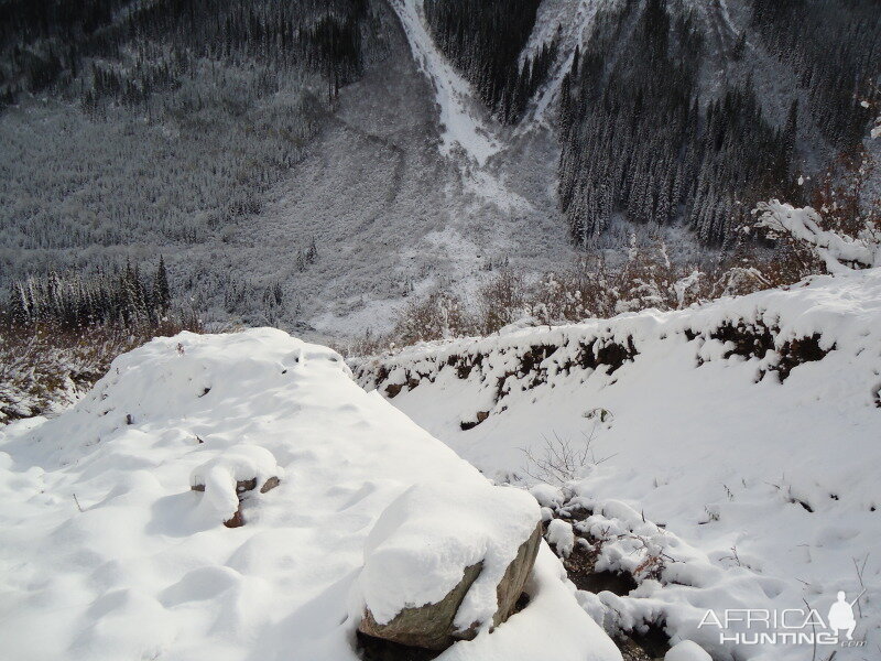 British Columbia Rocky Mountain Goat Hunt