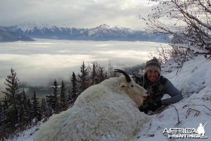 British Columbia Rocky Mountain Goat Hunt
