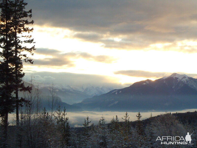 British Columbia Rocky Mountain Goat Hunt