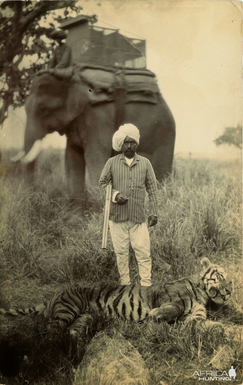 British Hunting in India 1920s