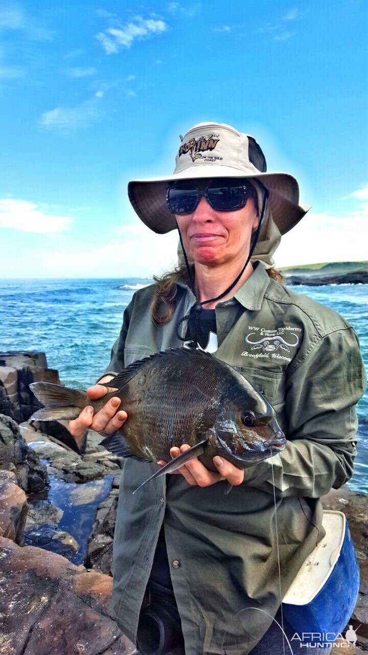 Bronze Bream Fish Fishing South Africa