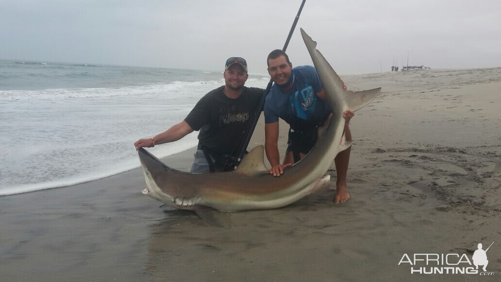 Bronze Whaler Shark Fishing Namibia