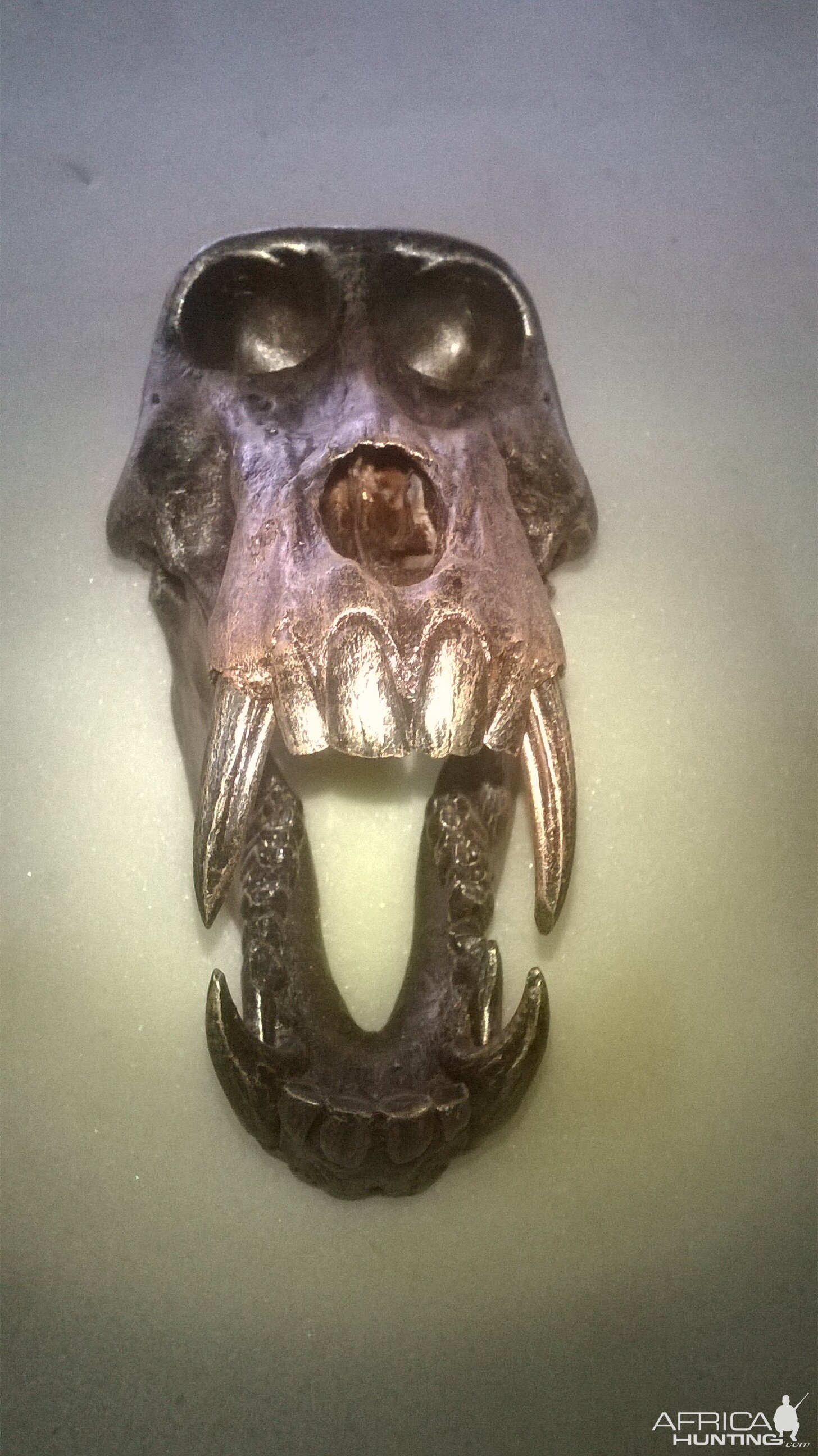Bronzed Baboon Skull Mount Taxidermy