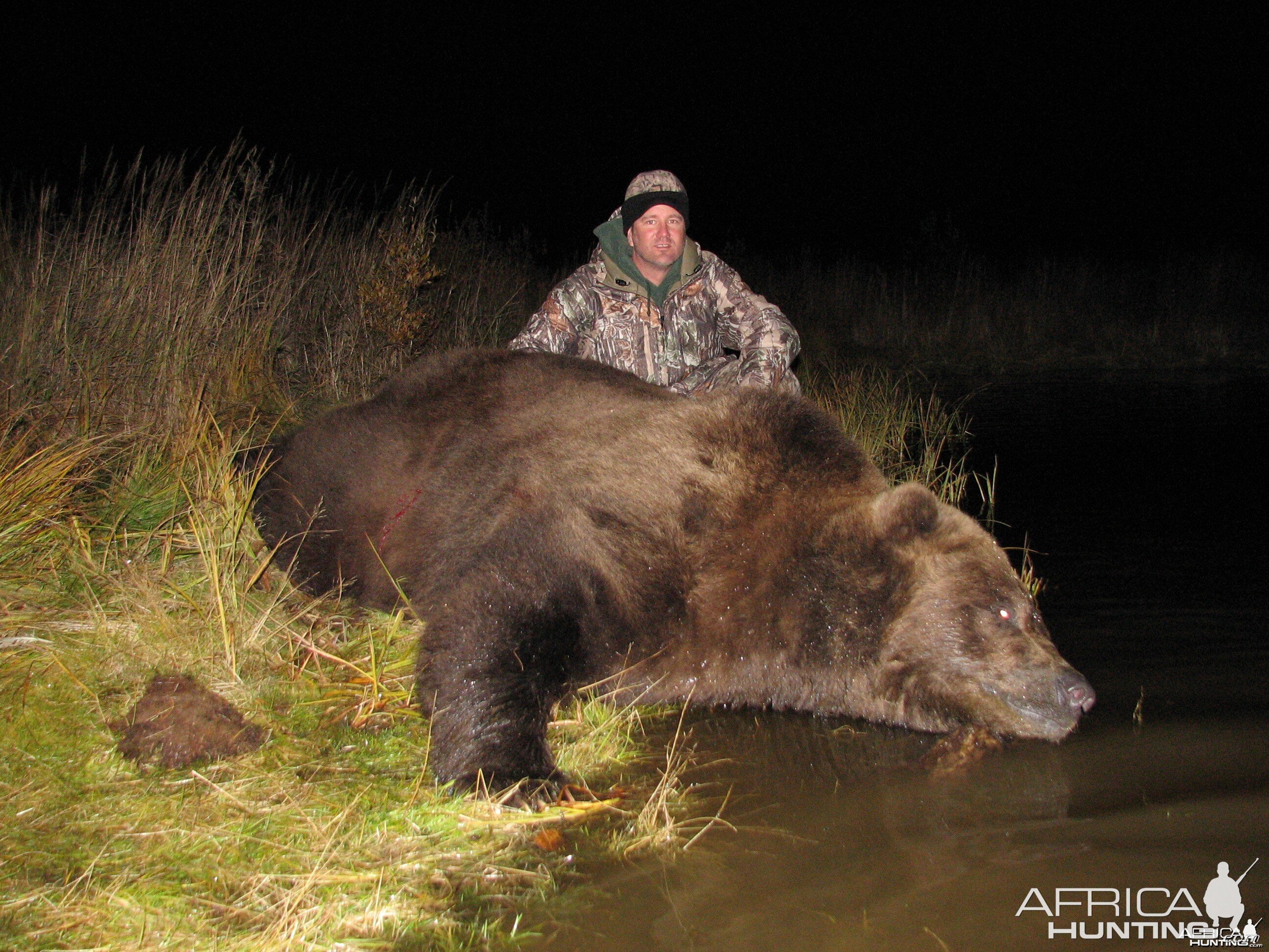 Brown Bear Hunt Alaska Peninsula
