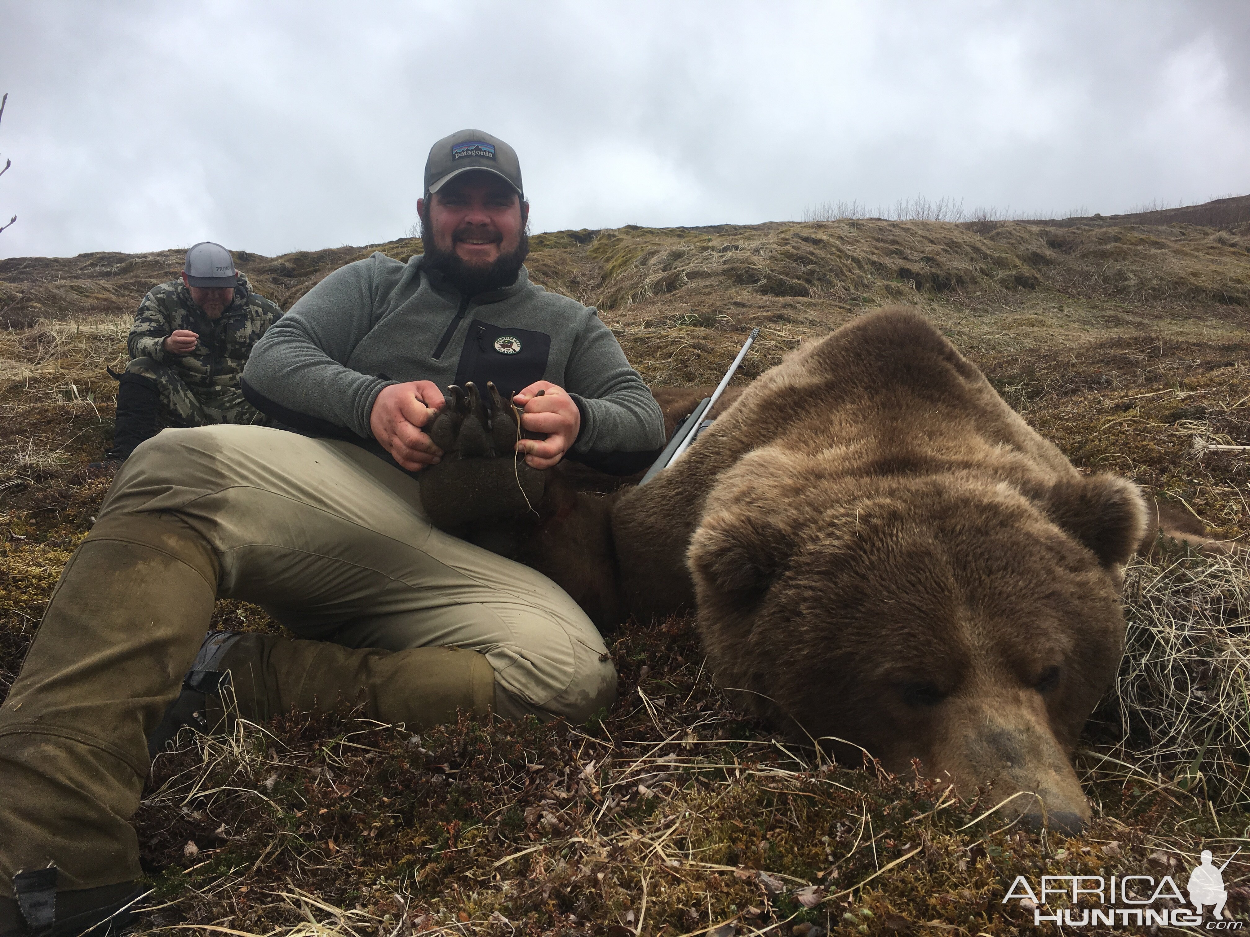 Brown Bear Hunt Alaska