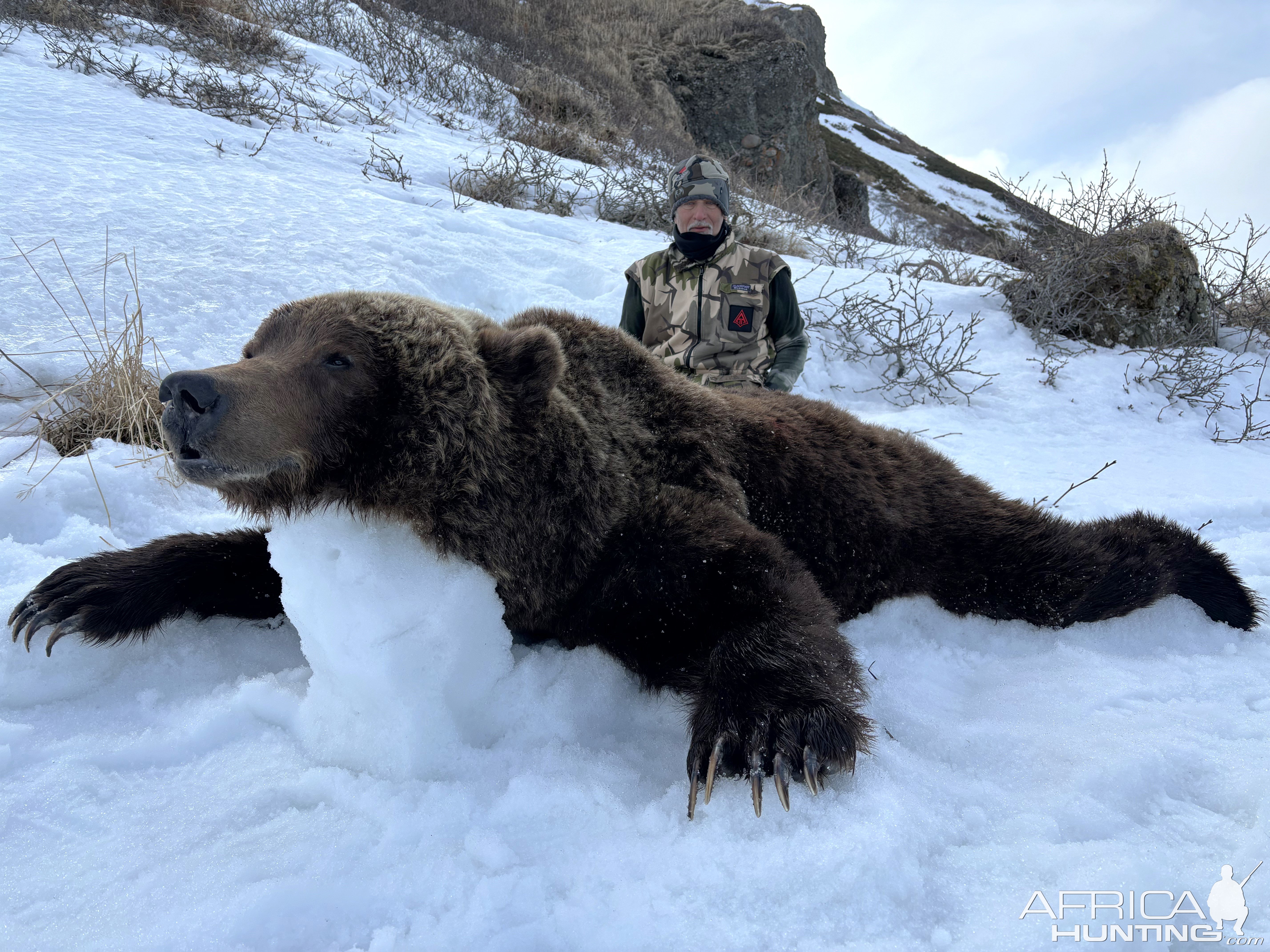 Brown Bear Hunt Russia