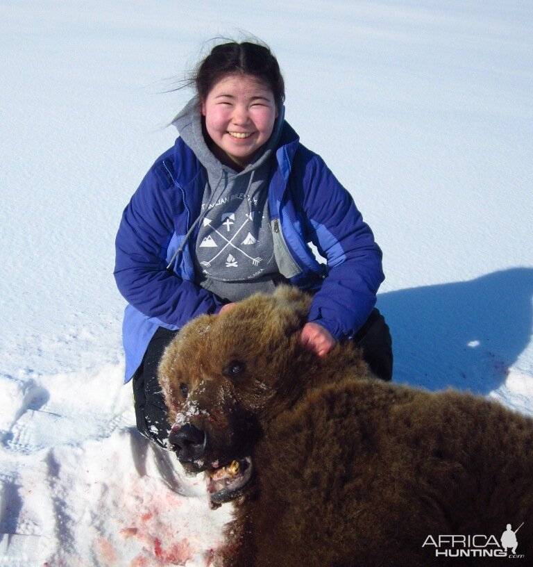 Brown Bear Hunting Alaska USA