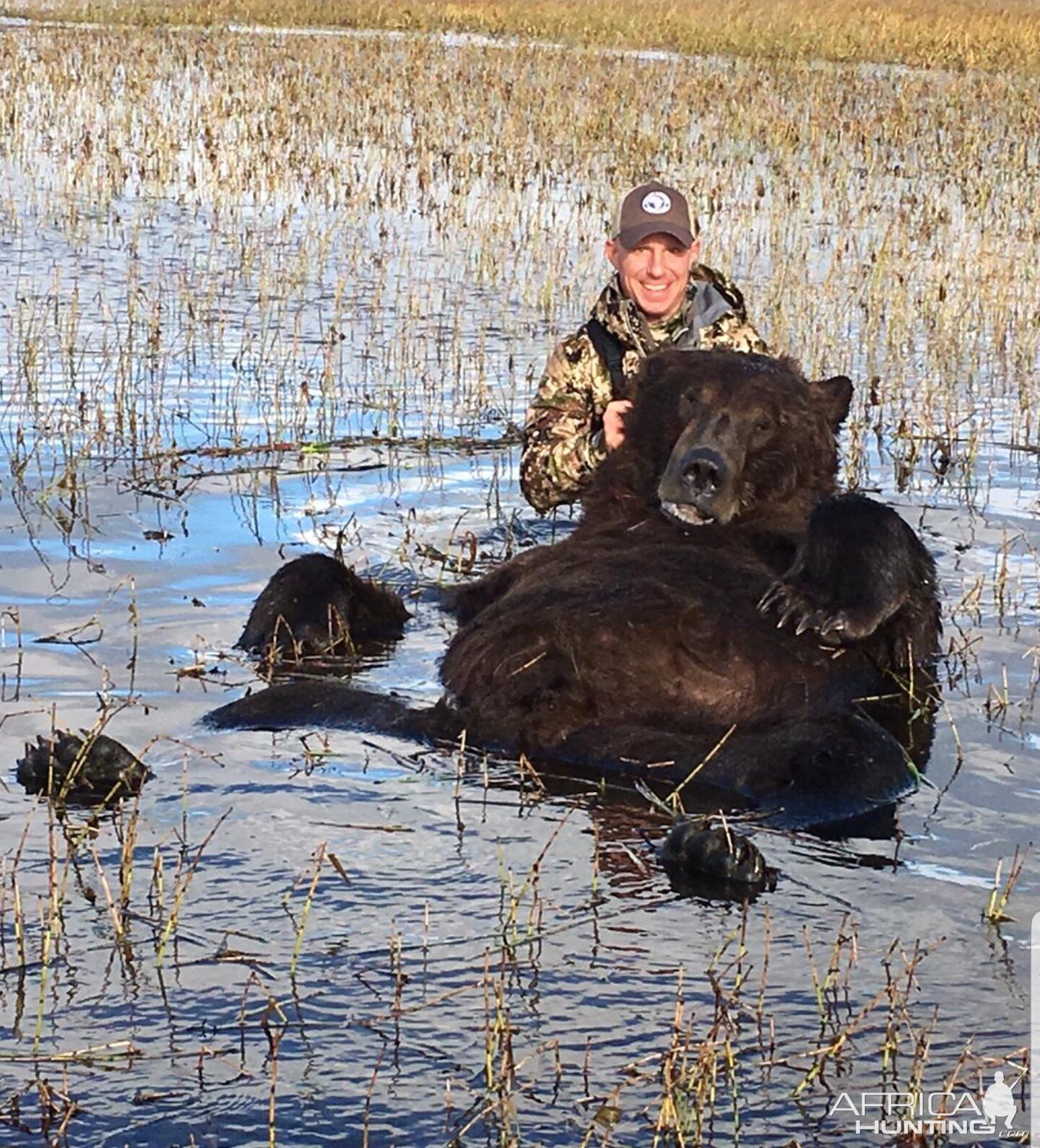 Brown Bear Hunting