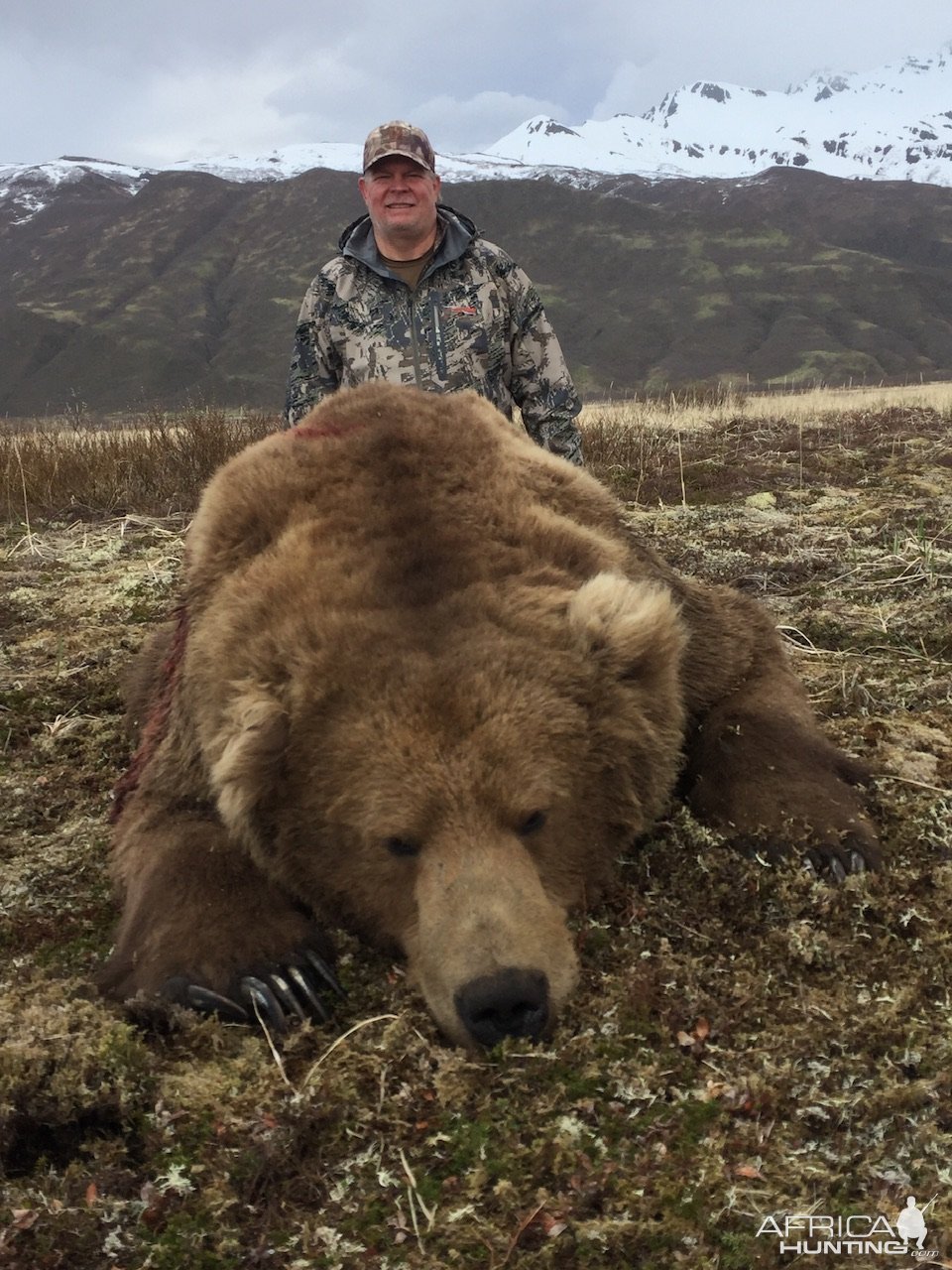 Brown Bear Hunting