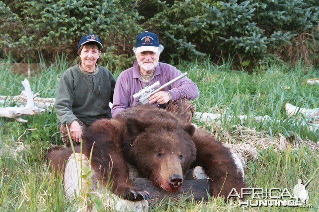 brown bear in alaska