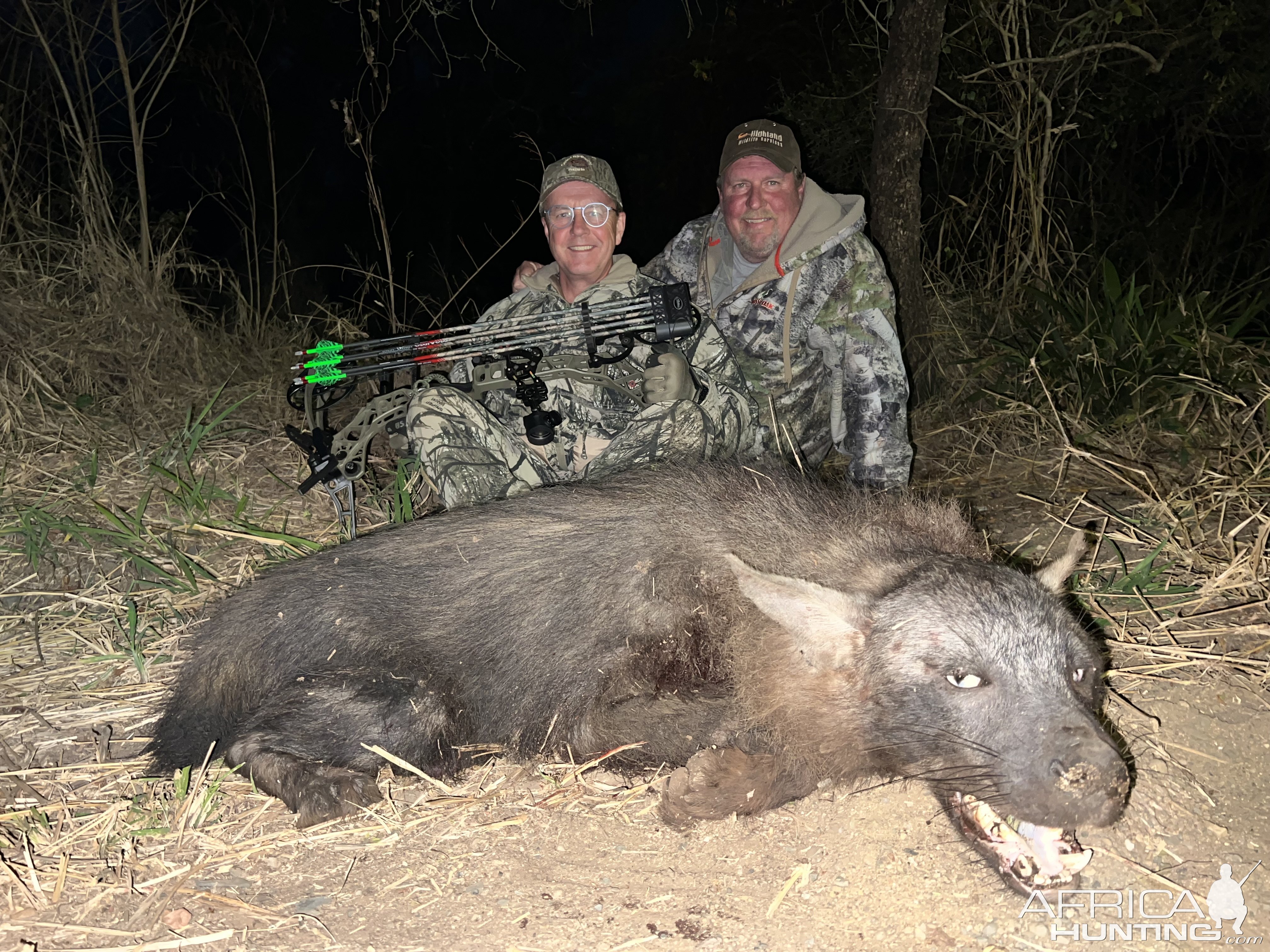Brown Hyena Bow Hunting South Africa