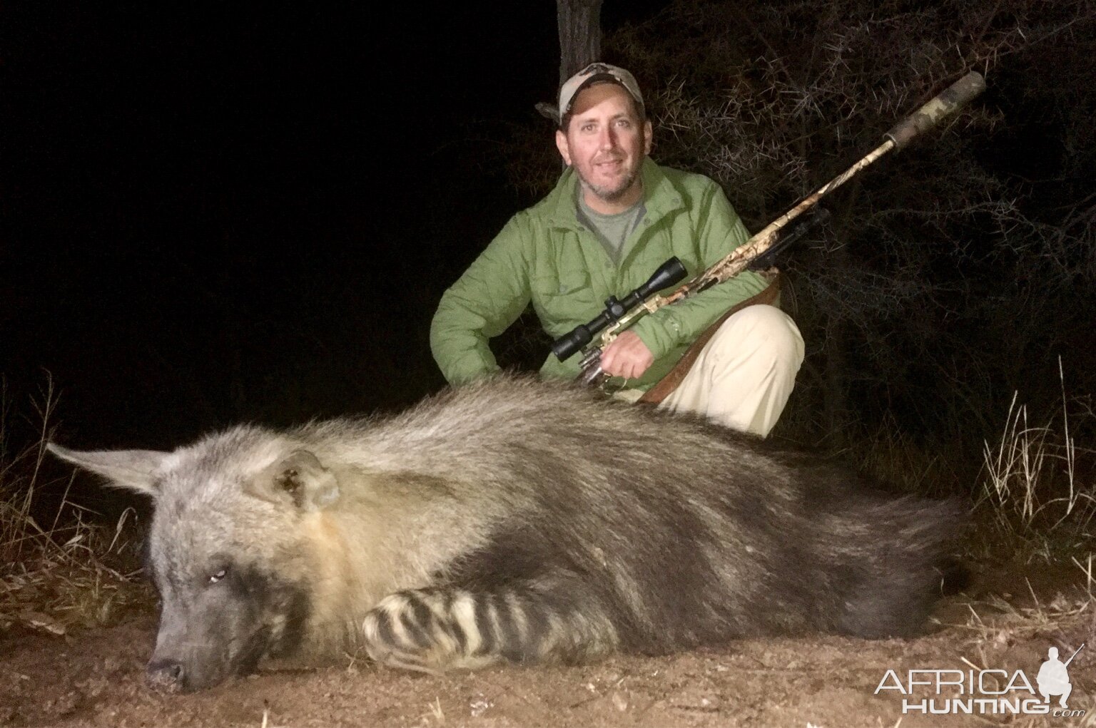 Brown Hyena Hunting South Africa