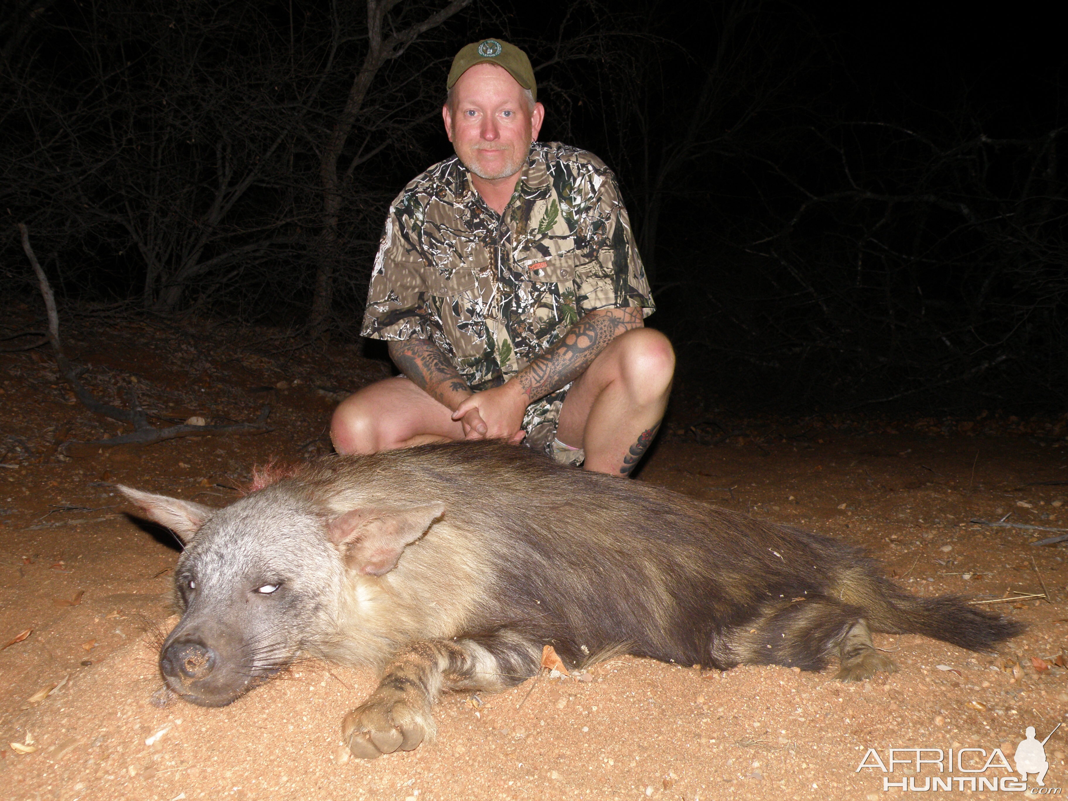 Brown Hyena  Mananga Safaris