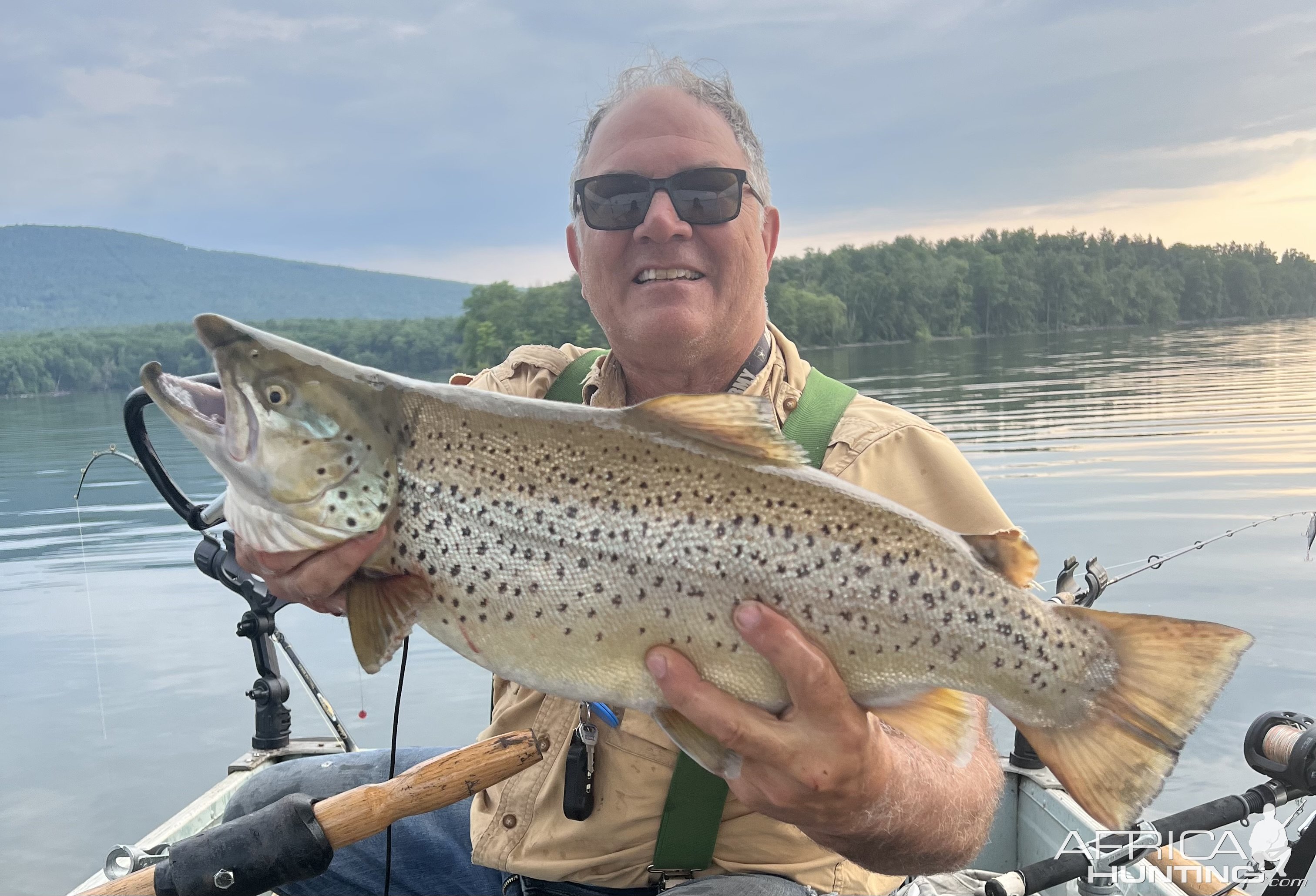 Brown Trout from Ashokan Reservoir in NY