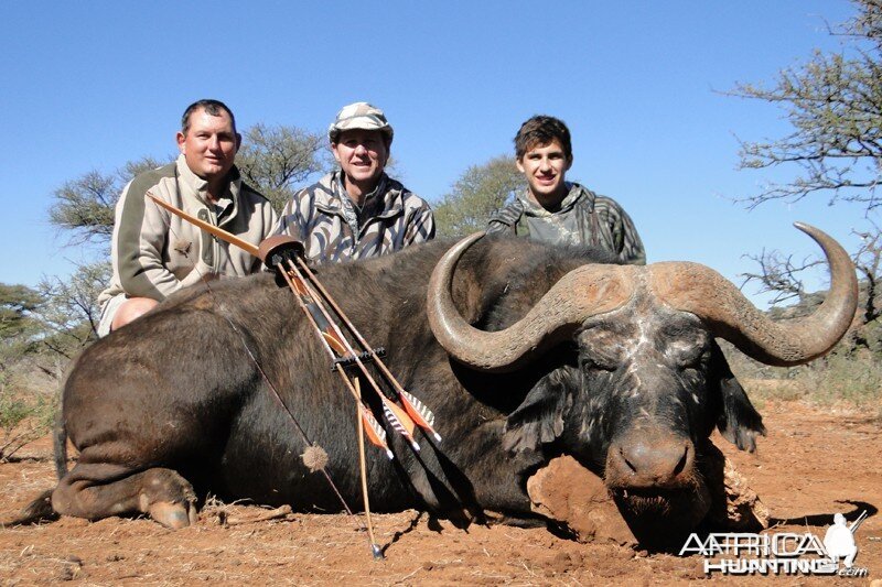 Buffalo bow hunt hunt with Wintershoek Johnny Vivier Safaris