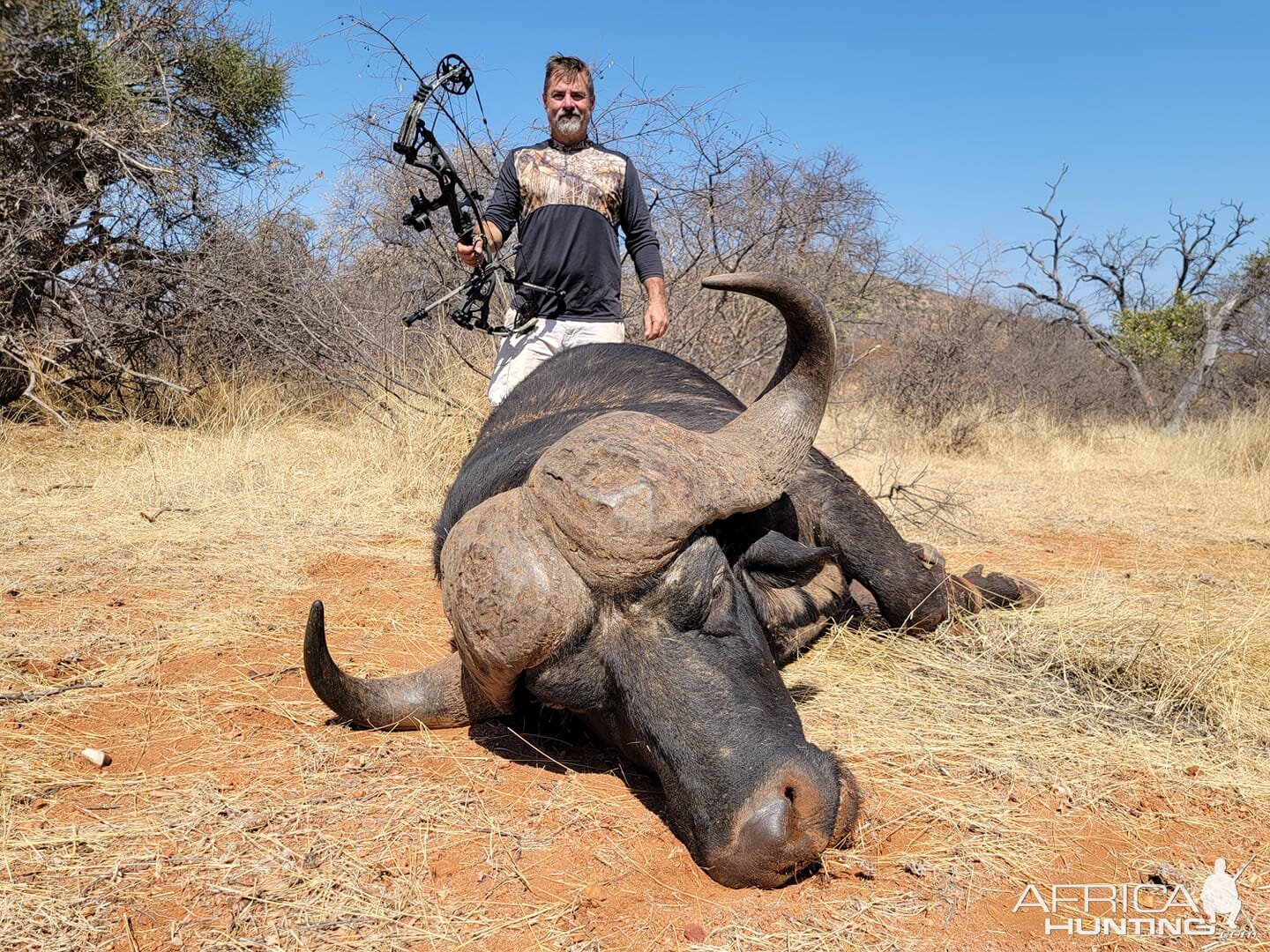 Buffalo Bow Hunt Limpopo South Africa