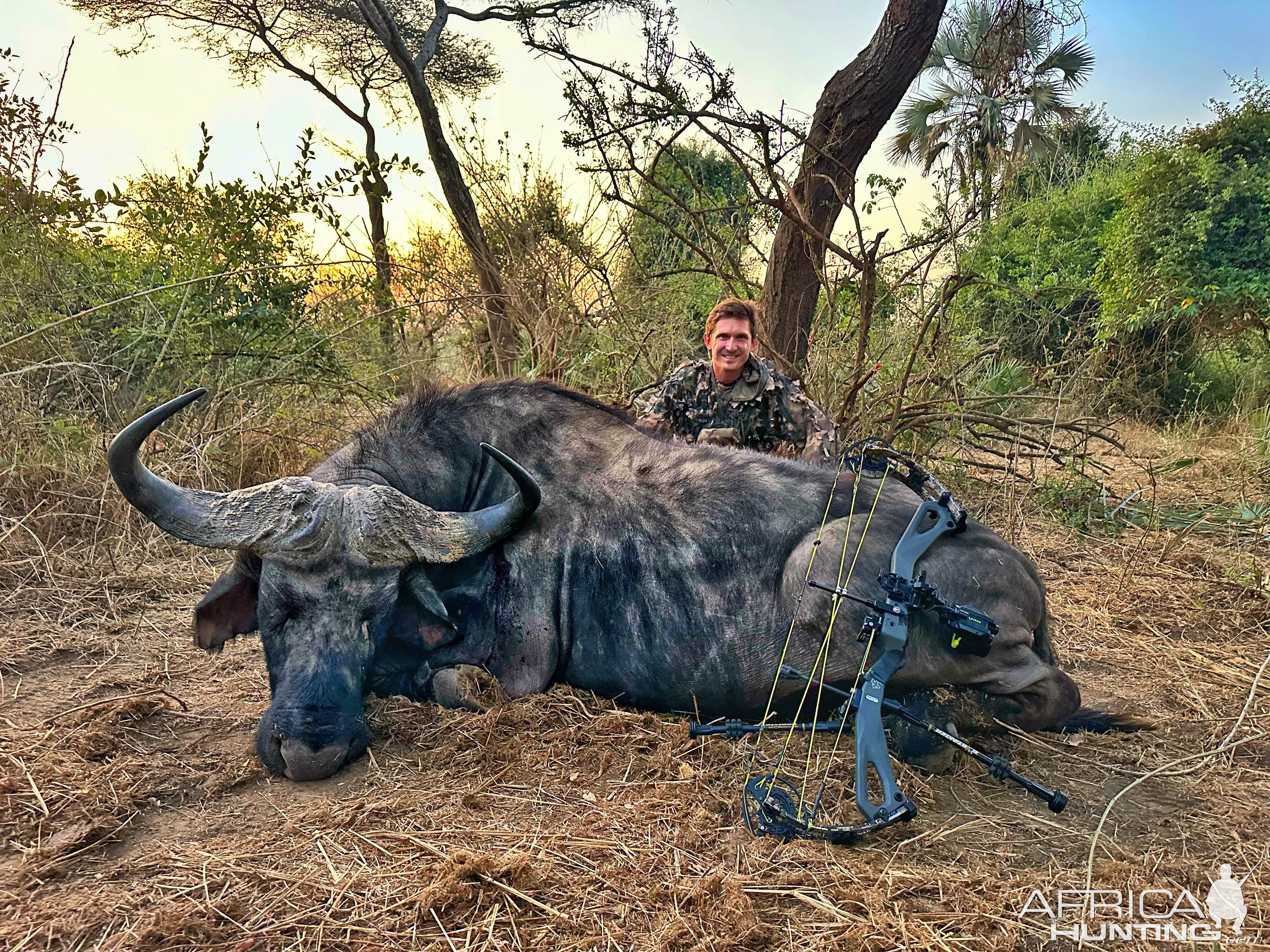 Buffalo Bow Hunt Zimbabwe