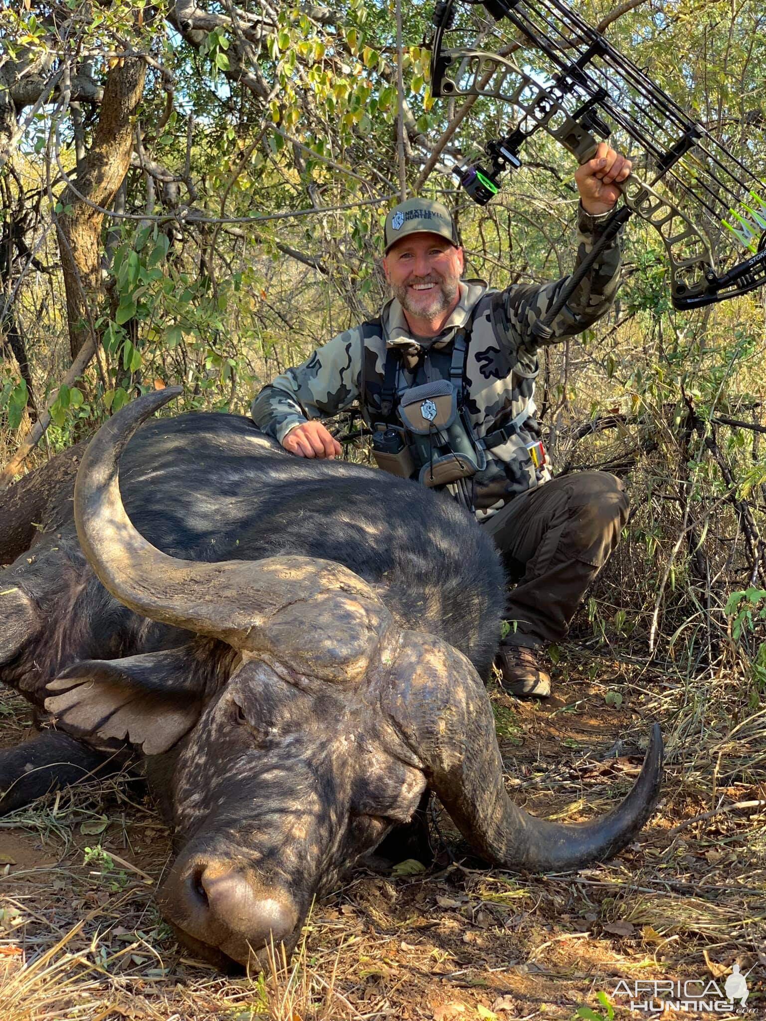 Buffalo Bow Hunting South Africa