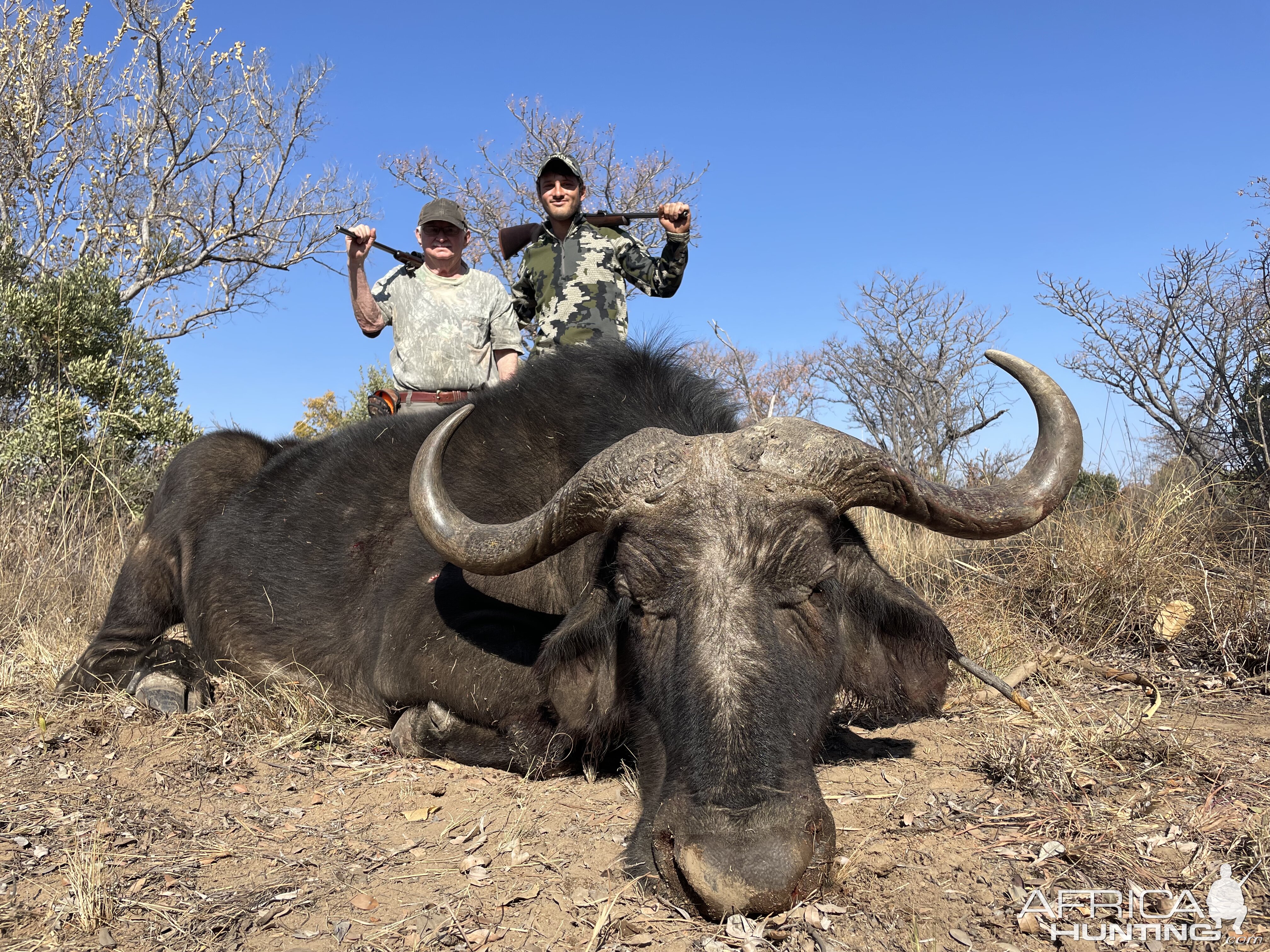 Buffalo Cow Hunt South Africa