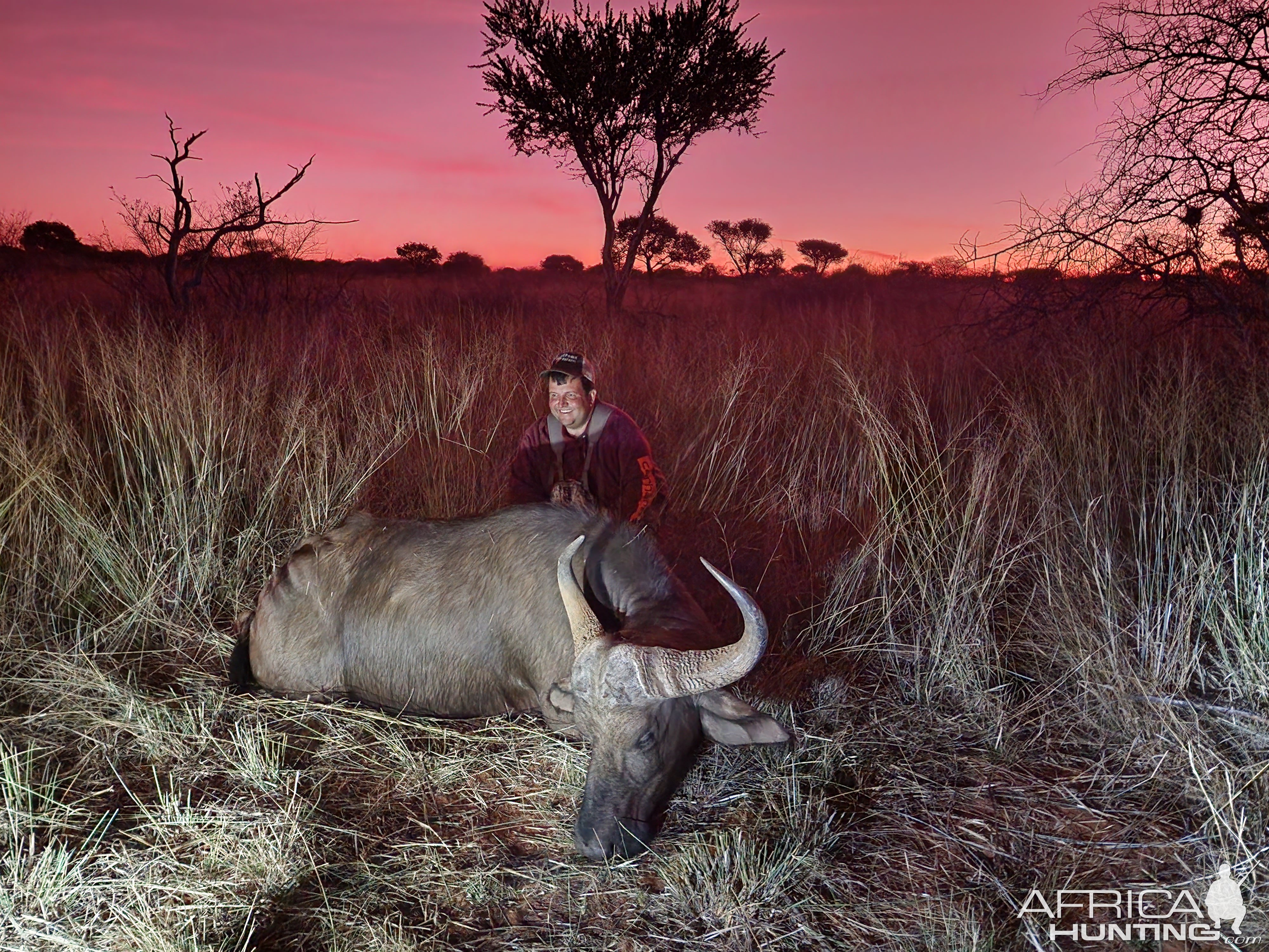 Buffalo Cow Hunting