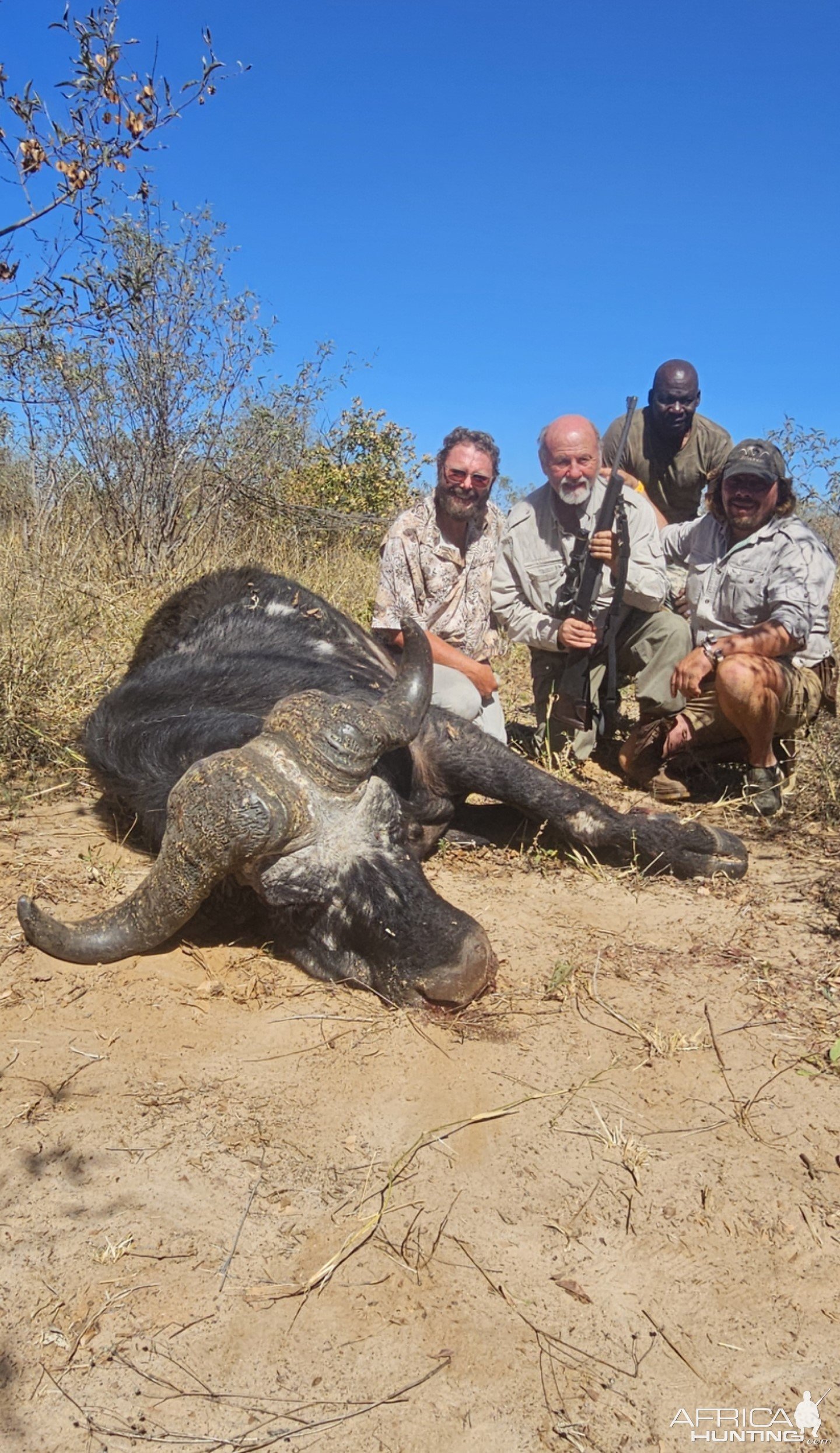 Buffalo Hunt Botswana