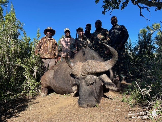 Buffalo Hunt Eastern Cape South Africa