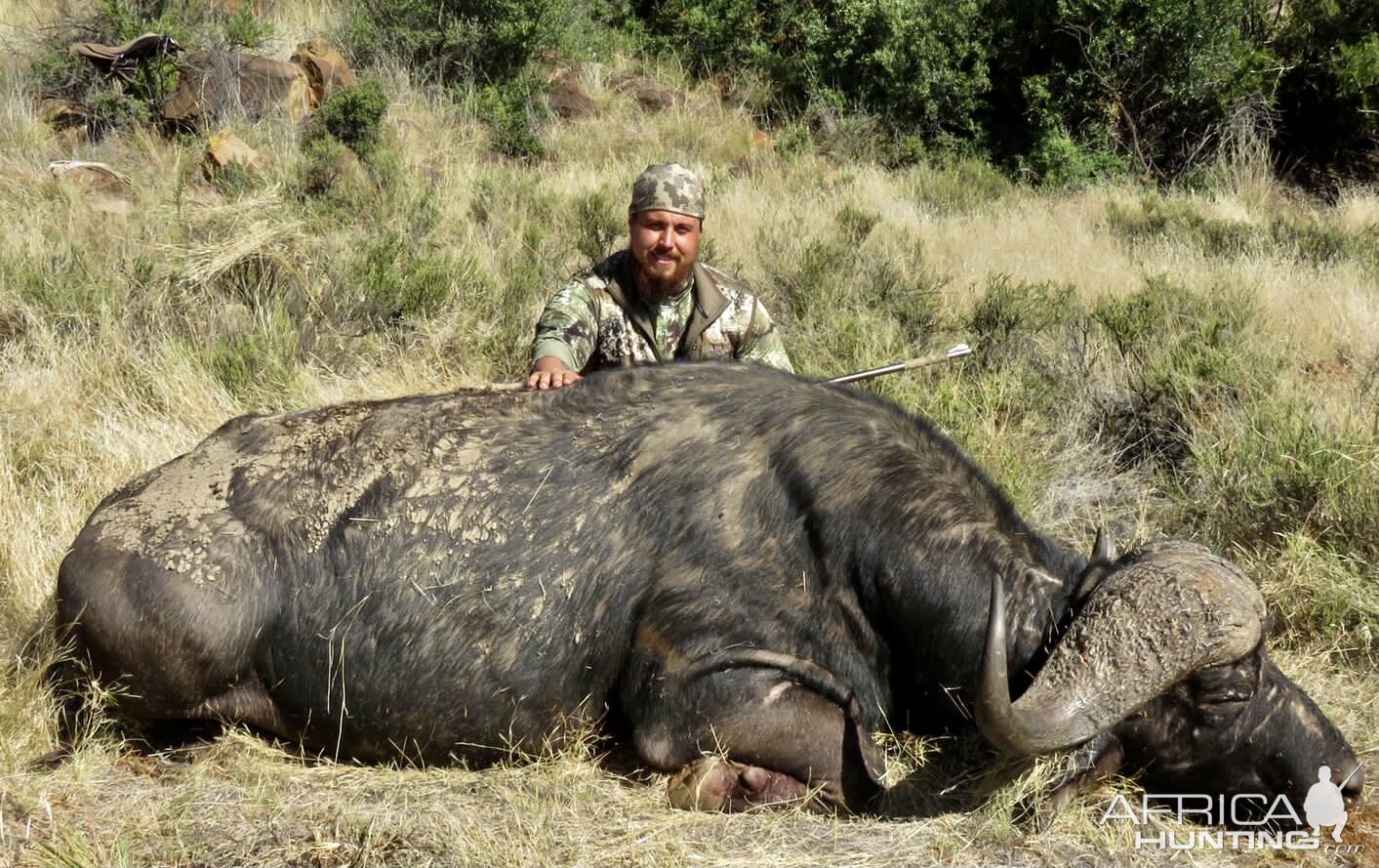 Buffalo Hunt Free State South Africa