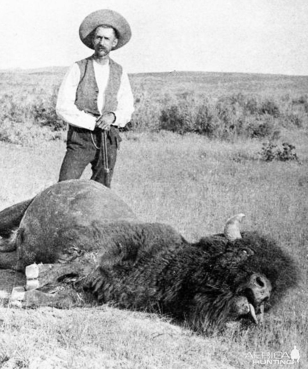 Buffalo hunt in Montana