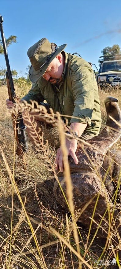 Buffalo Hunt Limpopo South Africa