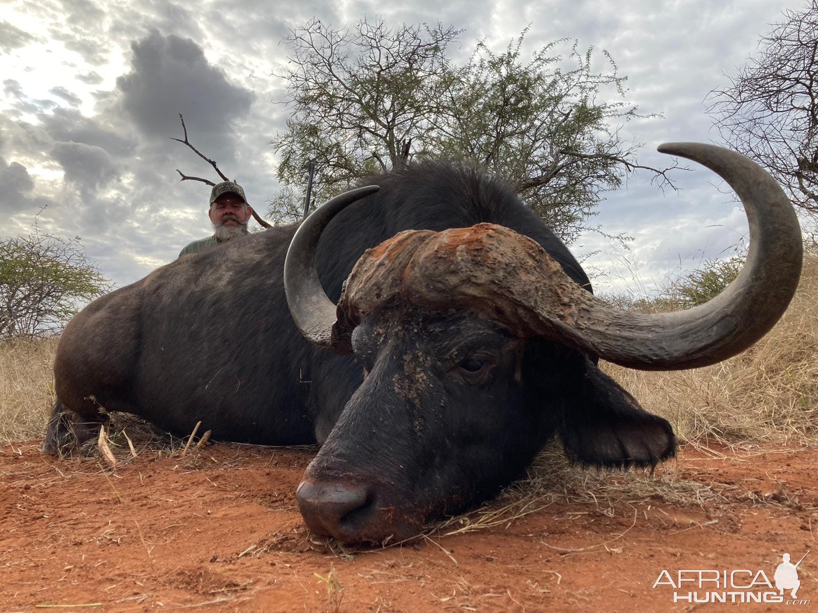 Buffalo Hunt Limpopo South Africa