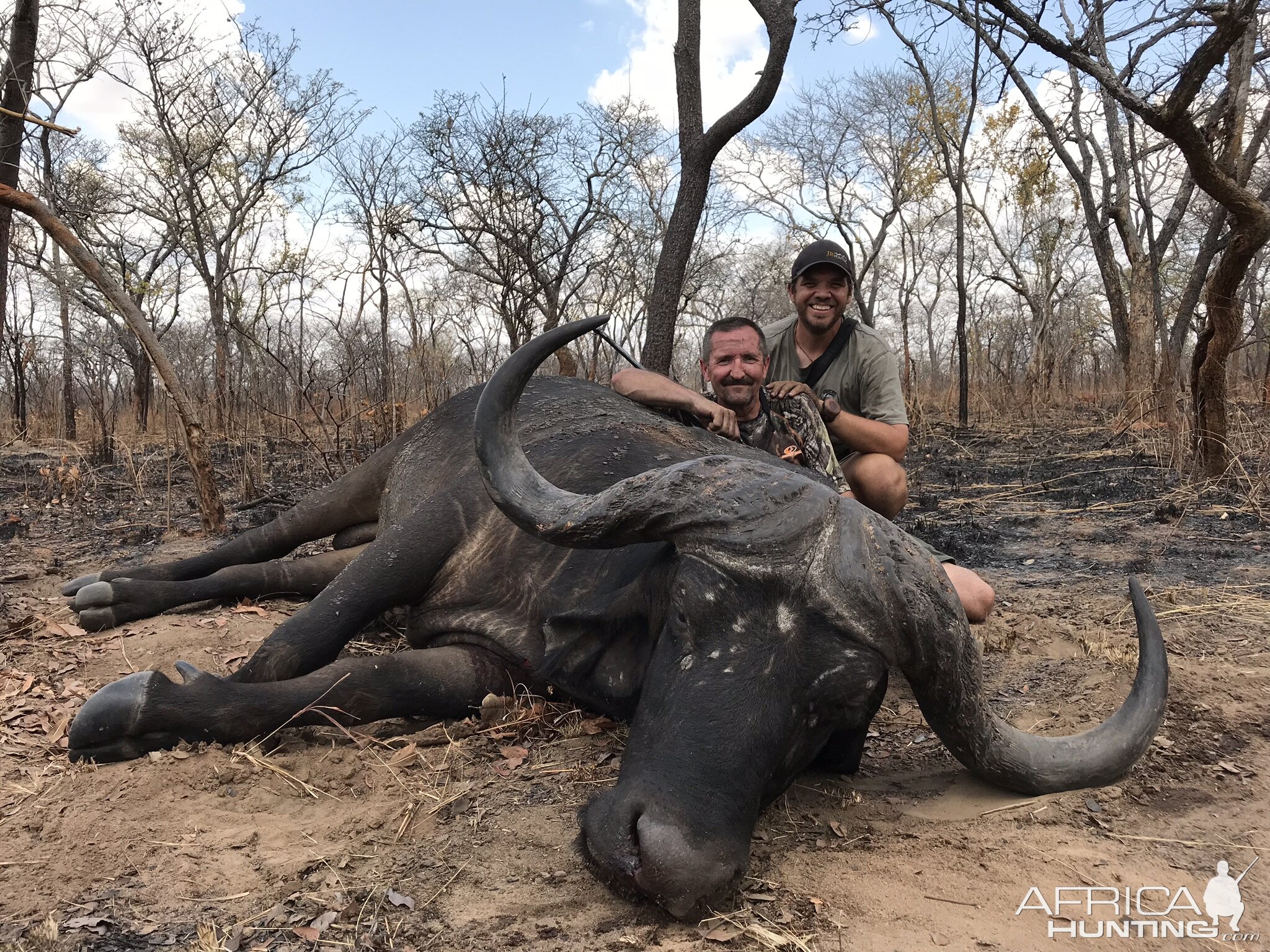 Buffalo Hunt Mozambique With Kwalata Safaris