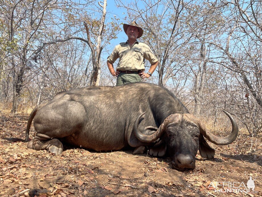 Buffalo Hunt Mozambique