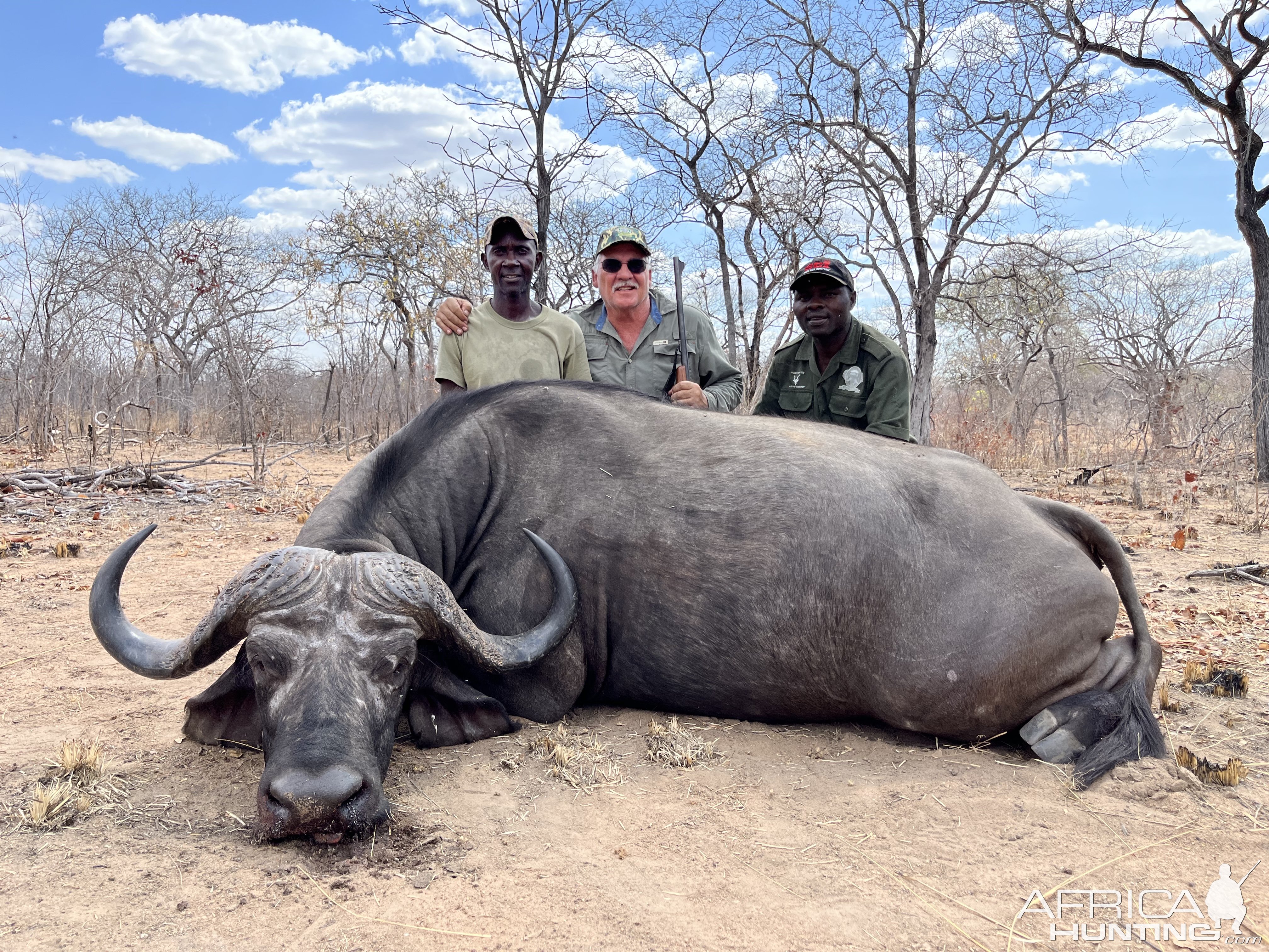 Buffalo Hunt Mozambique