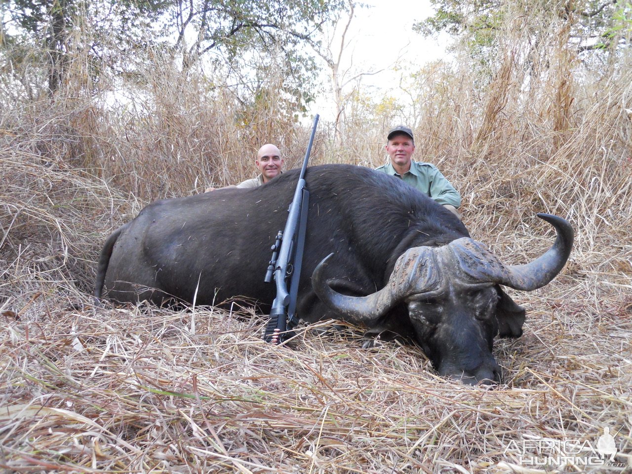 Buffalo Hunt Mozambique