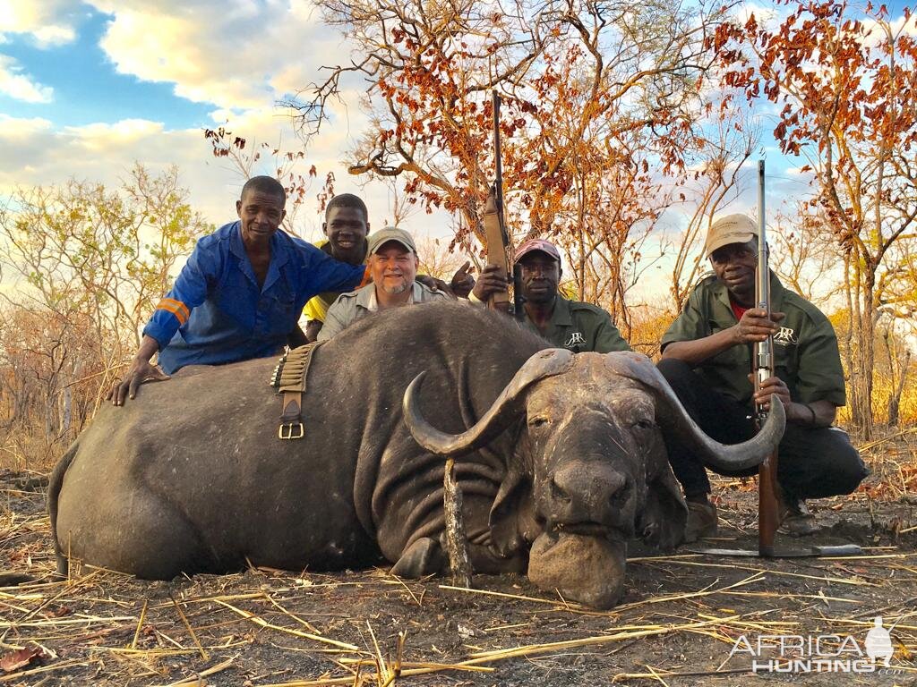 Buffalo Hunt Mozambique